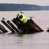 В трудный час готовы помочь. :: Галина .