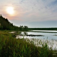 На озере :: Виктор Филиппов