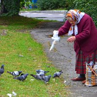 «Бабушка и голуби». Уличные зарисовки-2 :: Aleks Nikon.ua