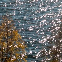 Природа,осень, Байкал,вода,блеск, деревья :: Светлана Киклевич