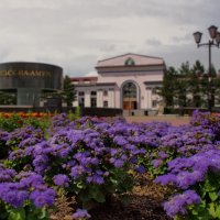 Россия из окна поезда. Комсомольск-на-Амуре. :: Алексей Некрасов