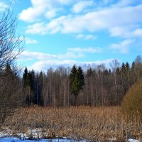 ВЕСНА В ДЕРЕВНЕ :: Виктор Осипчук