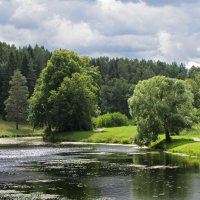 В Павловском парке :: Ирина Румянцева