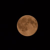Луна над Львовом 31.07.15   22.15.13 :: Николай Мезенцев 