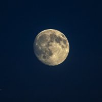 Луна :: Екатерина Исаенко