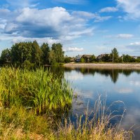 Прекрасное место для отдыха. :: Андрей Гриничев