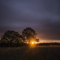 летний закат :: Ольга Гусакова