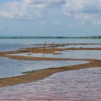 Прогулка по водной тропинке. :: Наталья Юрова