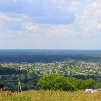 Дай мне руку, и пойдем мы в поле, друг души задумчивой моей.( Тургенев И.С).. :: Валентина ツ ღ✿ღ