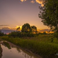 Лето, вечер :: Наталья Лакомова