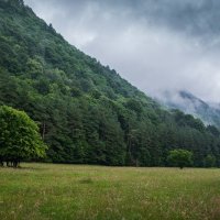 дорога в Архыз :: Евгений 