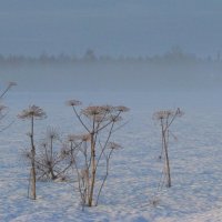 МОЯ ДЕРЕВНЯ, ЗА ОКОЛИЦЕЙ. :: Виктор Осипчук