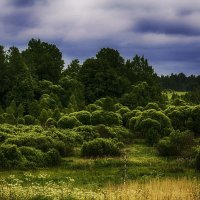 У дороги :: Александр 