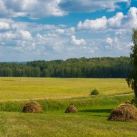 Заготовка сена :: Виктория Владимировна