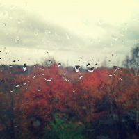 дождь :: Batty_Devis 