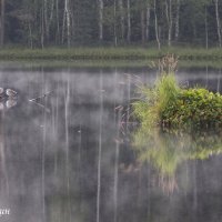 Туман на озере. Фото 5. :: Вячеслав Касаткин