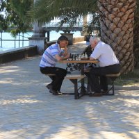 Дедушки играют в шахматы :: Татьяна Павелко