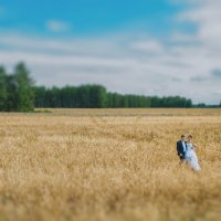 Wedding :: Сергей Дубков