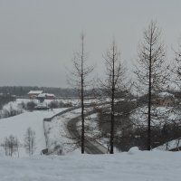 Зимний пейзаж :: Алёна Михеева