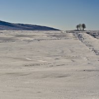 Фигура-крест в далеких полях :: Владимир ЯЩУК