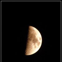 Луна :: Андрей Миткевич