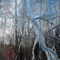Зима :: Сергей Бушуев