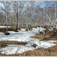 Последние сугробы :: Сергей Бережко