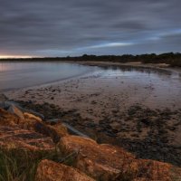 Ringarooma Bay :: Wattletree -