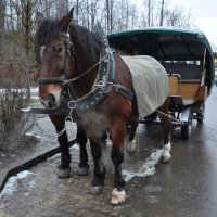 Не удержался :: Юля Мельникова