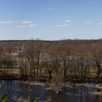 Река Тетерев разлилась по весне :: Alikosinka Solo