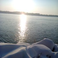 Зимний Дунай :: Натали Жоля