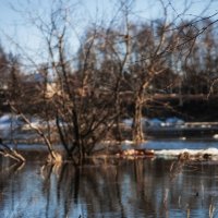 Большая вода :: Роман Милавин