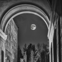 Full Moon Rising :: Андрей Чуманов