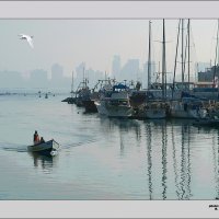 Порт Яффо, Израиль :: Борис Херсонский