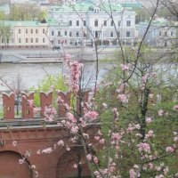 Весна :: Маера Урусова