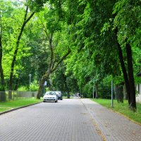 В парке :: Евгений Дубинский