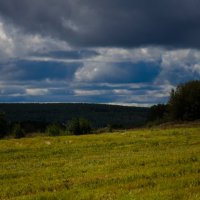 Поле, Русское поле! :: Людмила Зяблова