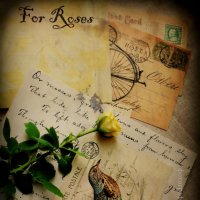 серия "Письма к Розе" :: ксения магина