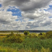 За окнами август :: Александр Гурьянов