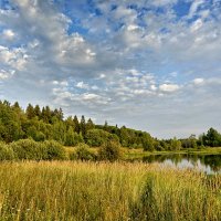 Летний вечер :: Александр Гурьянов