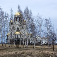 Березки у Храма :: Татьяна Грищук