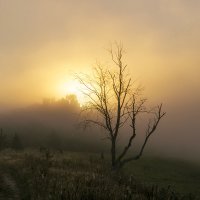 Рассвет на Угре :: Денис Щербак