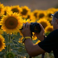 Фотограф... :: Марина Соколова