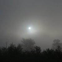 Утренний туман на р. Ай :: Татьяна Крэчун