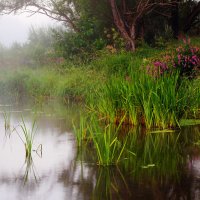 Пейзаж :: Владимир 