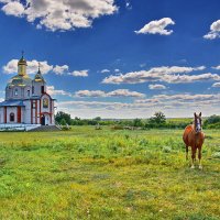 Сельская  жизнь. :: Валера39 Василевский.