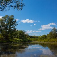 Прогулка по саду :: Роман Царев