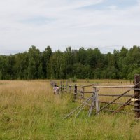 За околицей. :: Андрей Дурапов