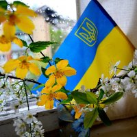 «С Днём Независимости Украины!» Вітаю нас усіх з 24-ю річницею Незалежності України! :: Aleks Nikon.ua