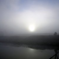 Рассвет в туманном утре. :: Мила Бовкун